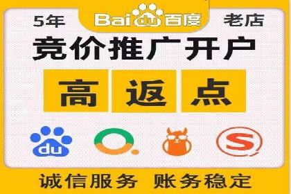 成功案例分享：SEM推广策略的制定与执行
